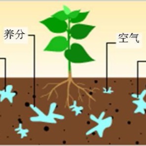 仲禧科技：植物根系是如何吸收营养物质的？
